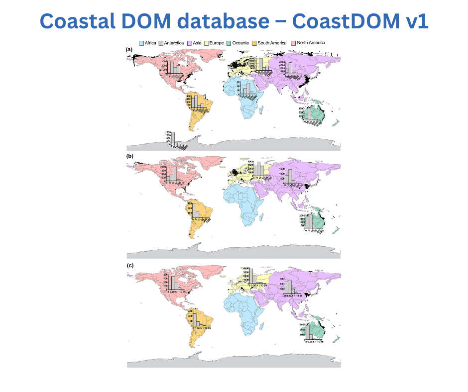 Coastal DOM database – CoastDOM v1